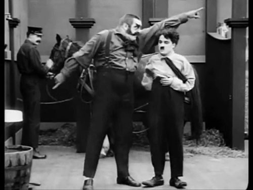Funny Videos